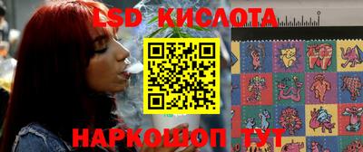 apvp Камышлов