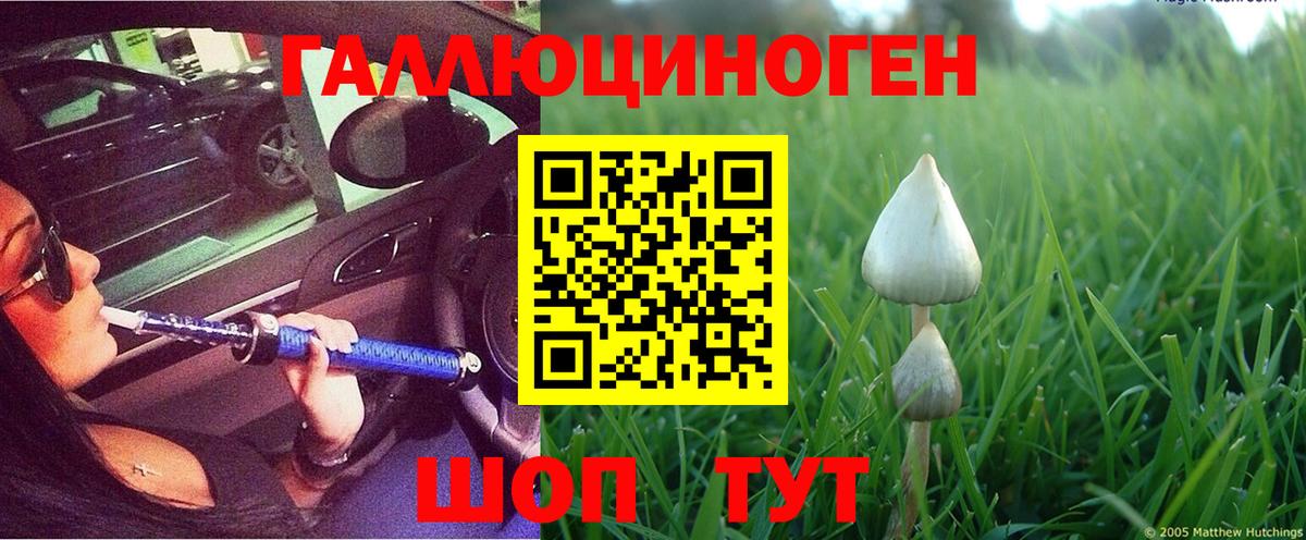Магнитогорск  Псилоцибиновые грибы GOLDEN TEACHER  Псилоцибиновые грибы Magic Shrooms  Вход с VPN 