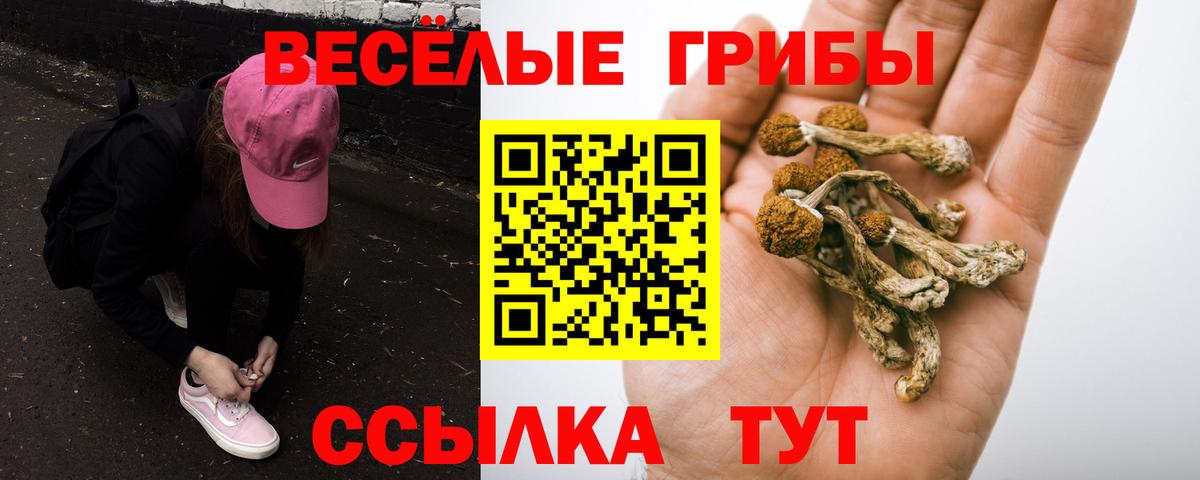 Галлюциногенные грибы Psilocybe Магнитогорск